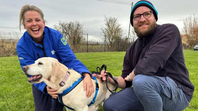 Family Reunited with Labrador Daisy 7 Years After She Was Stolen